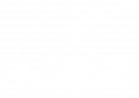 Olga Plachetta Logo